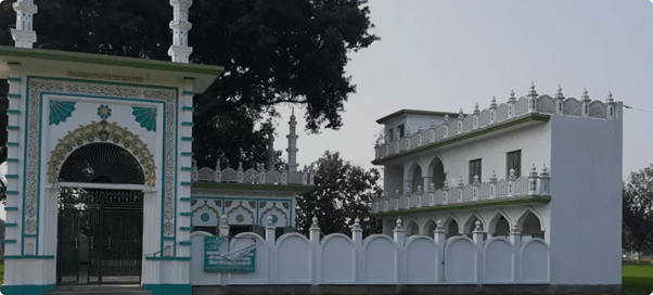 Mosque View
